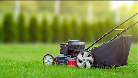 Residential and Commercial Lawn Care